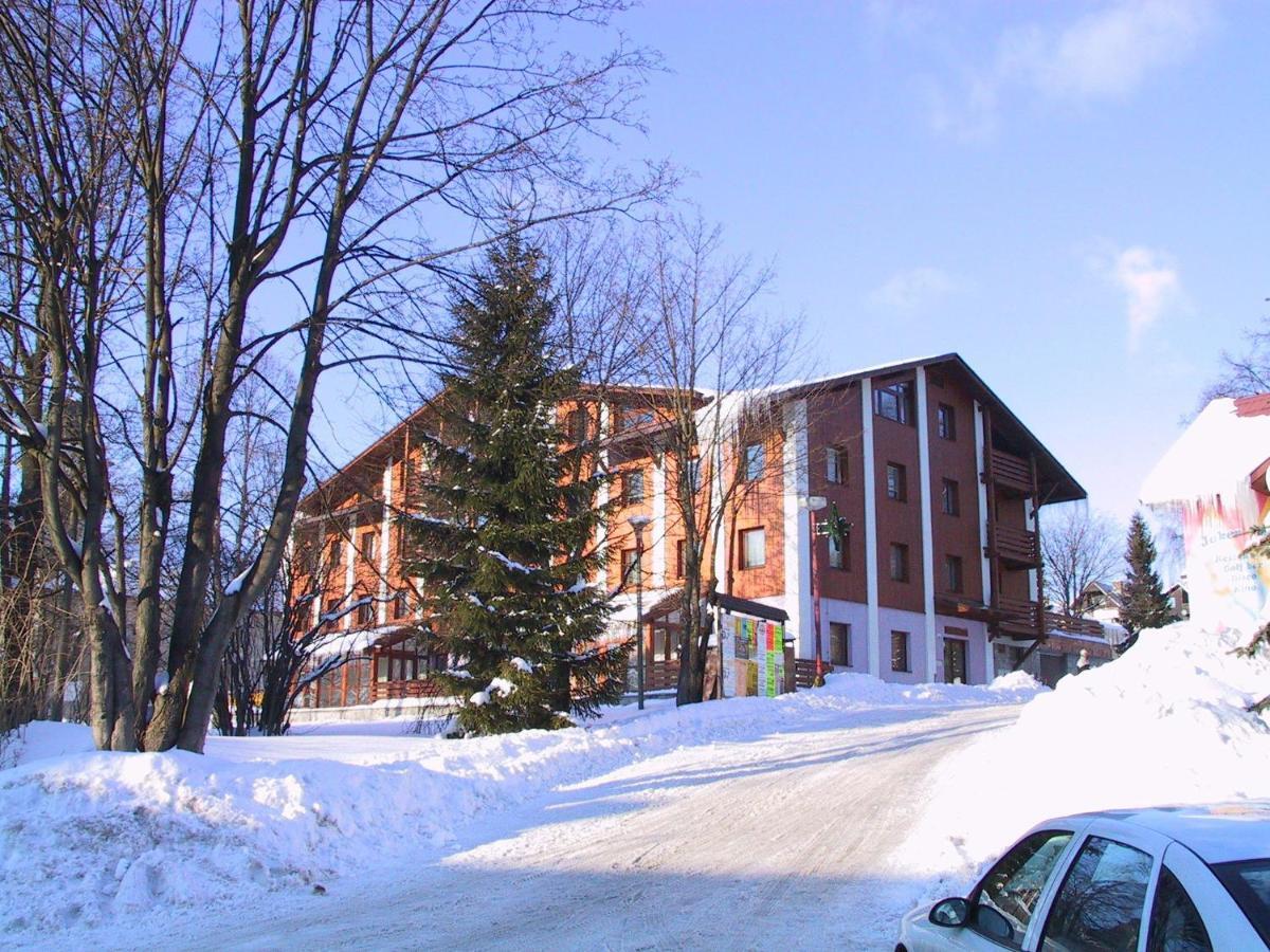 Hrebenka Apartment *